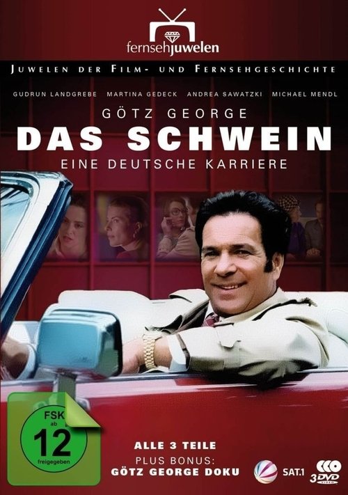 Das Schwein - Eine deutsche Karriere movie poster