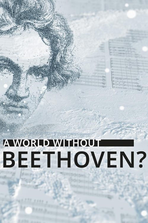 A World Without Beethoven? movie poster