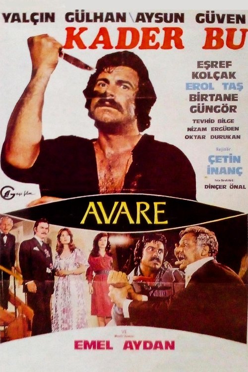 Kader Bu movie poster