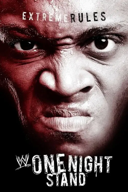 WWE One Night Stand 2007 movie poster