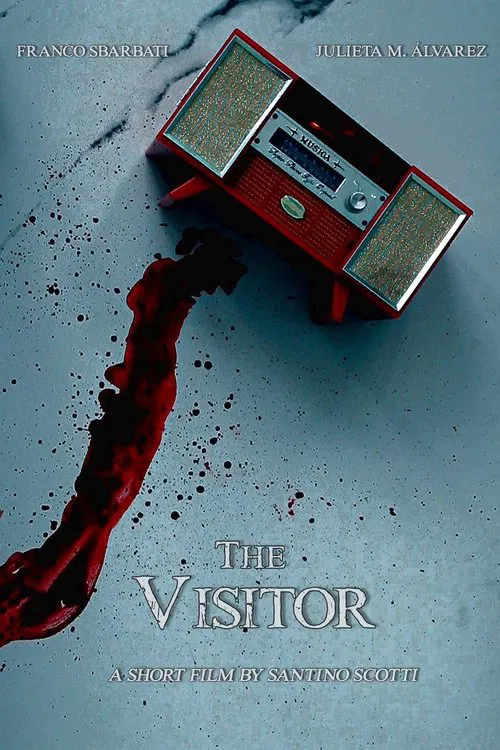 Poster do filme The Visitor