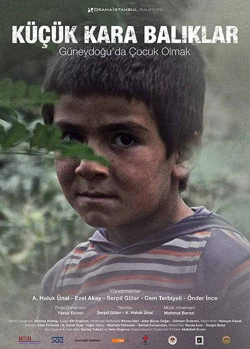 Little Black Fishes movie poster