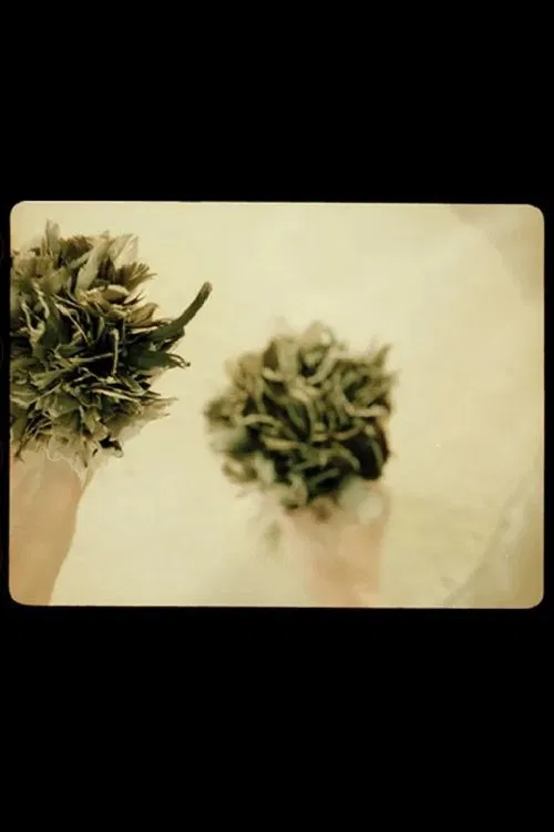 cum pane – the one you share your bread with movie poster