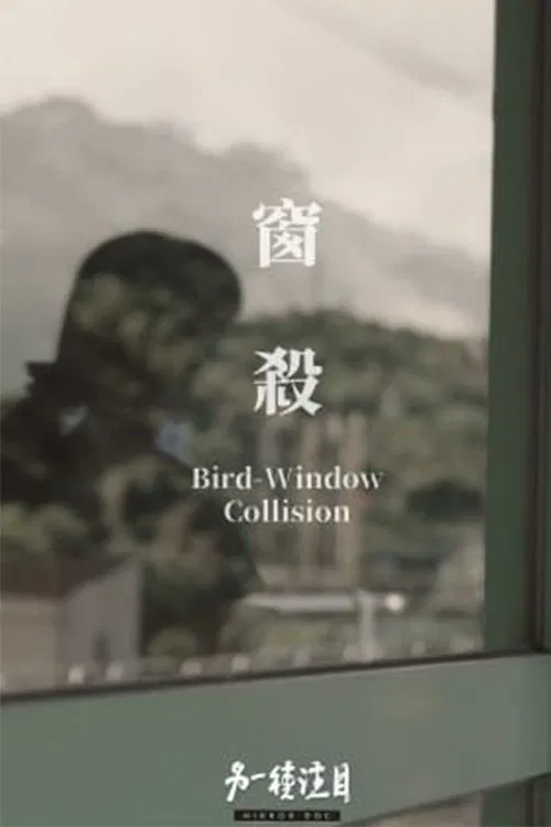 Bird-Window Collisions movie poster