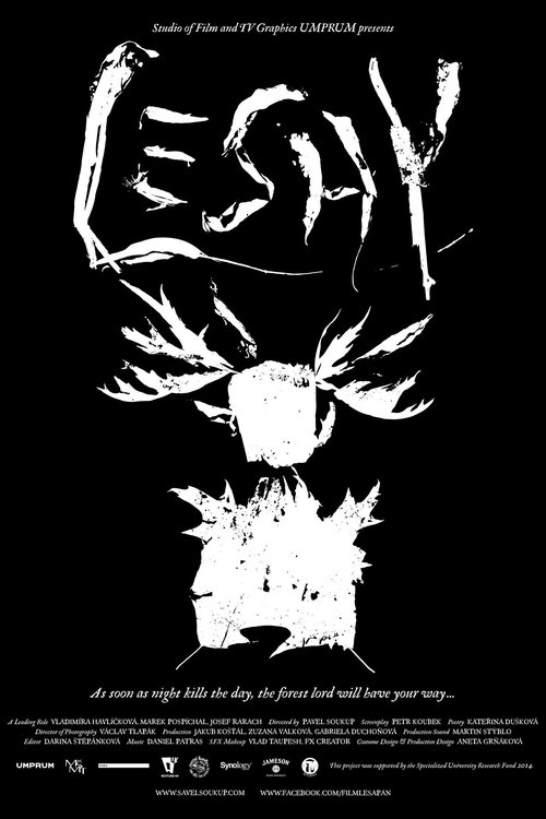 Leshy movie poster