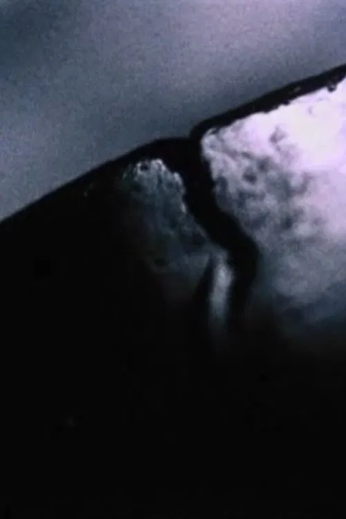 Differentiation of Breath movie poster