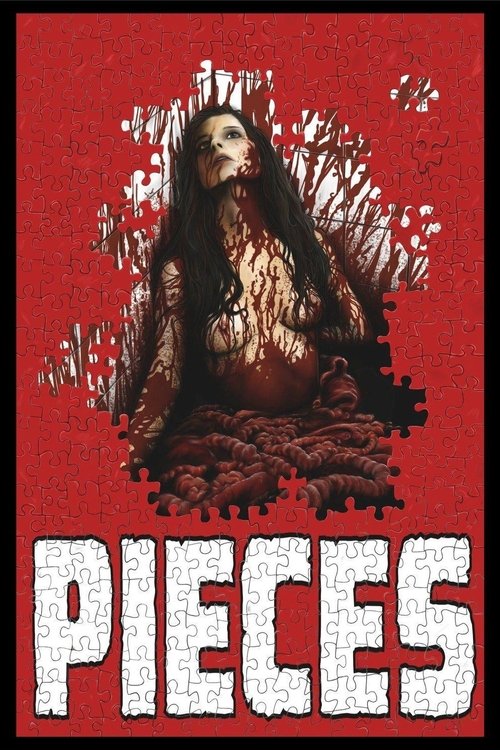 Pieces movie poster