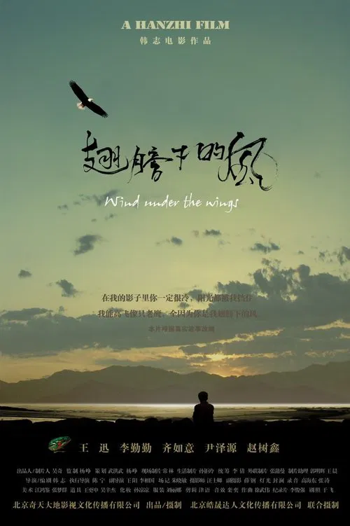 Wind Under The Wings movie poster