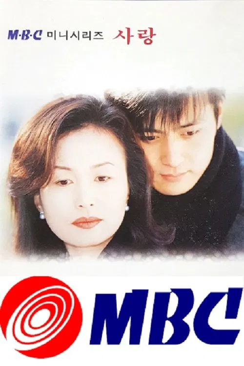 Love tv show poster