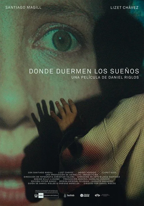 Where Dreams Sleep movie poster
