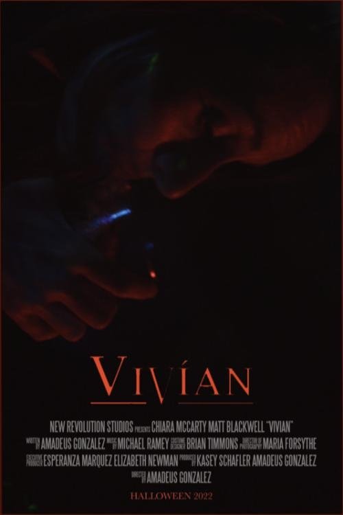 Poster do filme Vivían