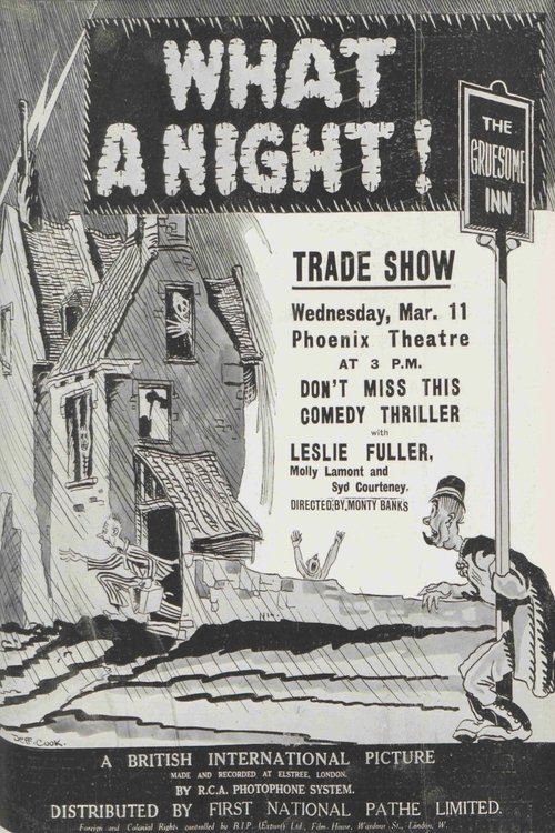 What a Night! movie poster