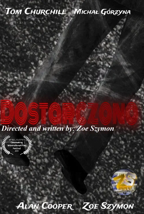 Dostarczono movie poster
