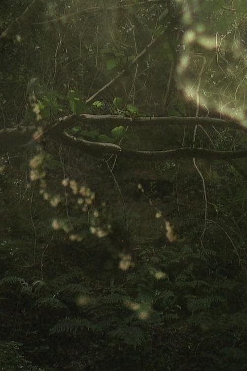 The Subterraneans movie poster