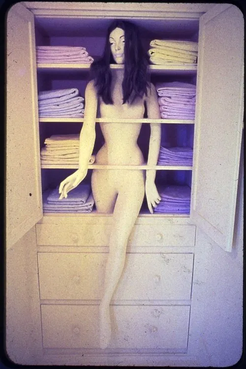 Womanhouse movie poster