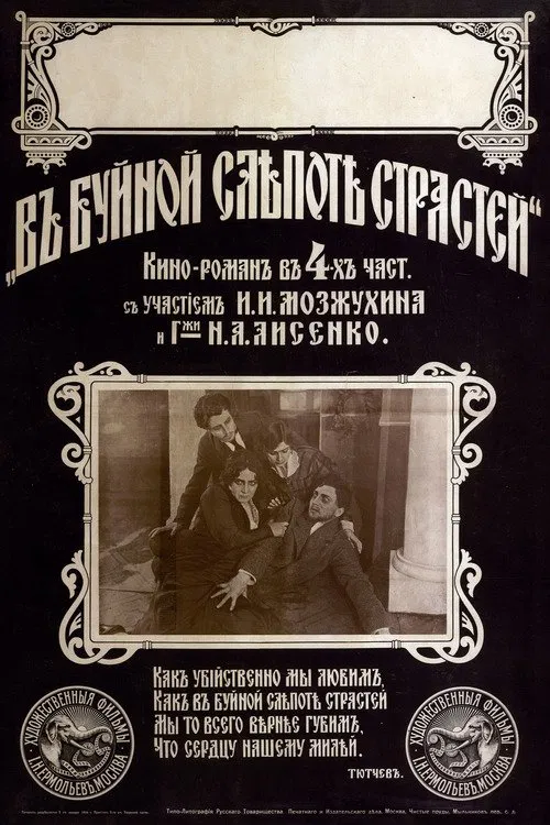 In The Wild Blindness Of Desires movie poster