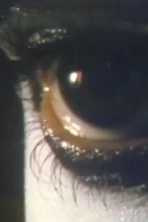 Boredom movie poster