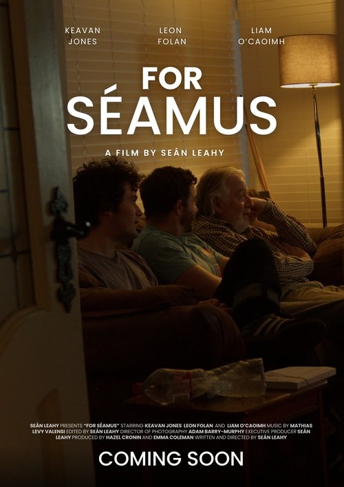 Poster do filme For Séamus