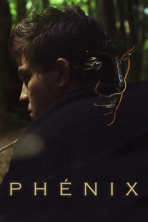 The Phoenix movie poster