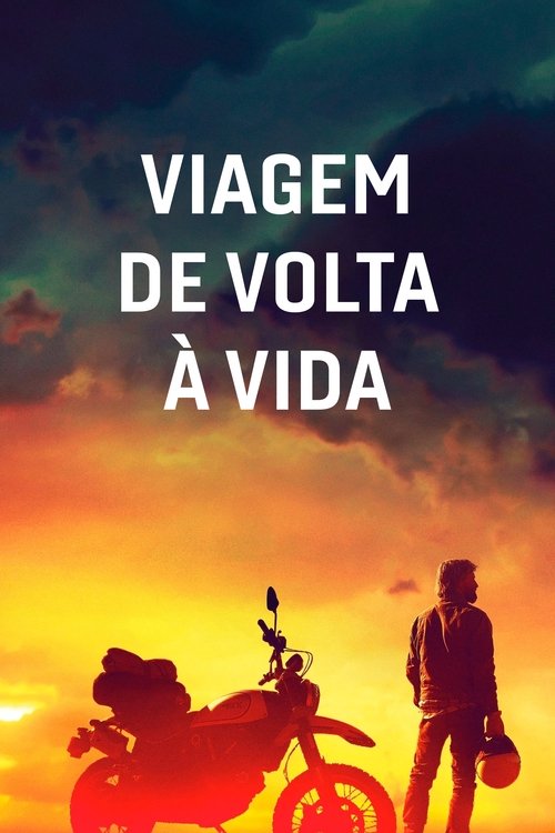 Poster do filme Viagem de Volta à Vida