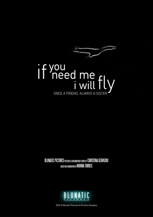If You Need Me, I Will Fly movie poster