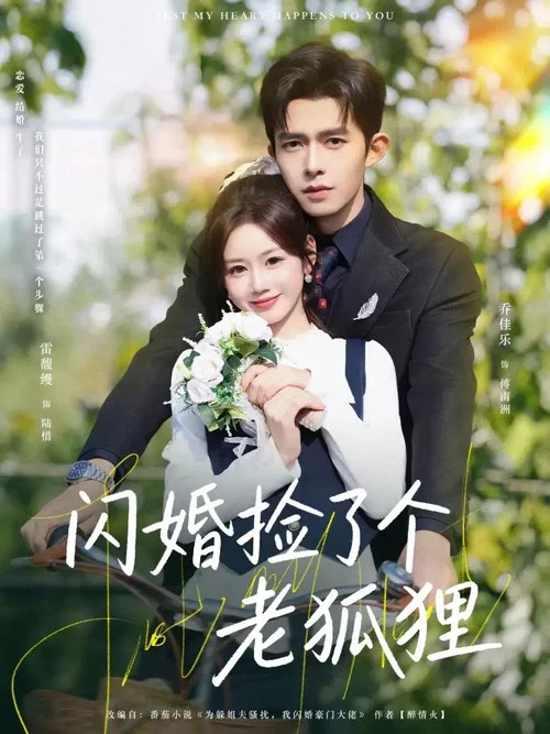 閃婚撿了個老狐狸 tv show poster