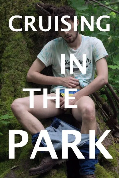 Cruising in the Park movie poster