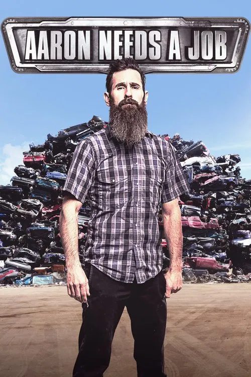 Aaron Needs a Job tv show poster