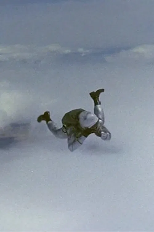 Poster do filme Three Casualties