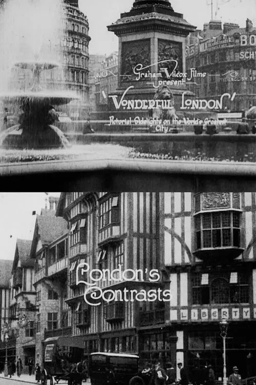Wonderful London: London's Contrasts movie poster