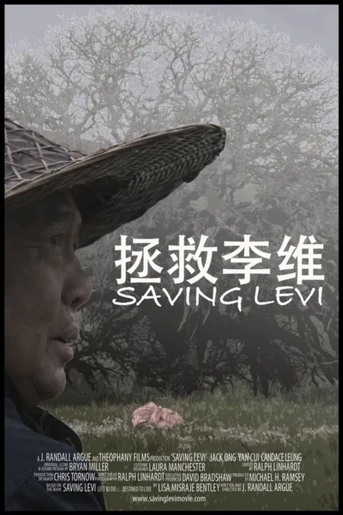 Saving Levi movie poster