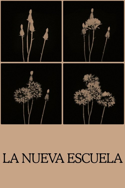 The New School movie poster