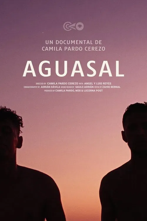 Aguasal movie poster