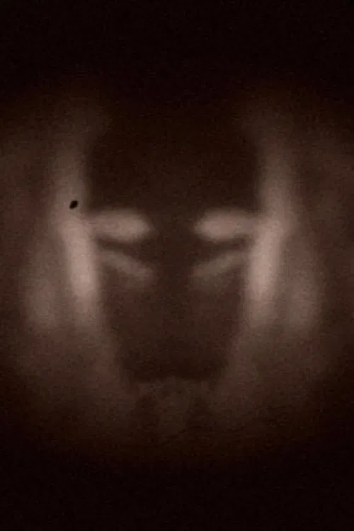 L’effet miroir movie poster