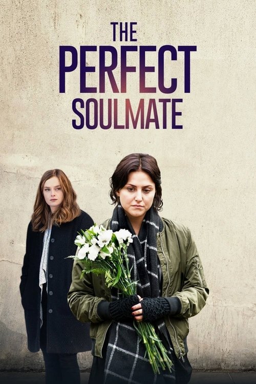 The Perfect Soulmate movie poster