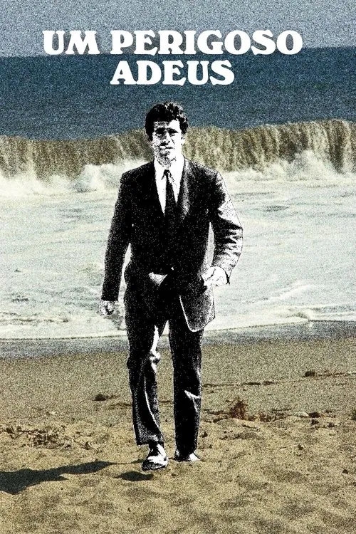 Poster do filme Um Perigoso Adeus
