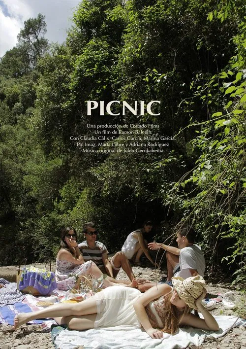Picnic movie poster