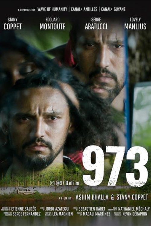 Poster do filme 973