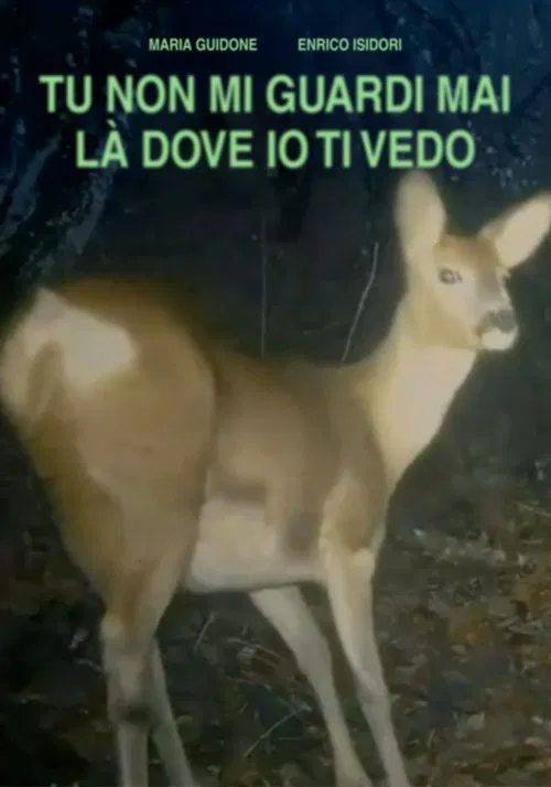 Poster do filme TU NON GUARDI MAI LÀ DOVE IO TI VEDO