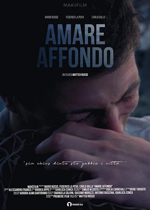 Amare Affondo movie poster