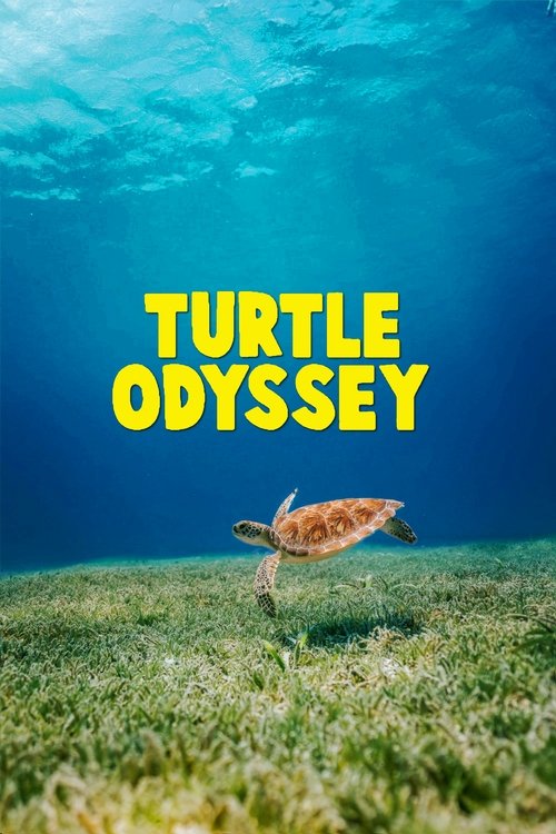 Turtle Odyssey movie poster