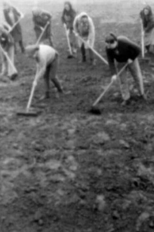 Poster do filme Centaur