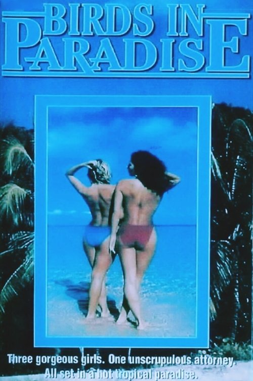 Soft Touch II movie poster