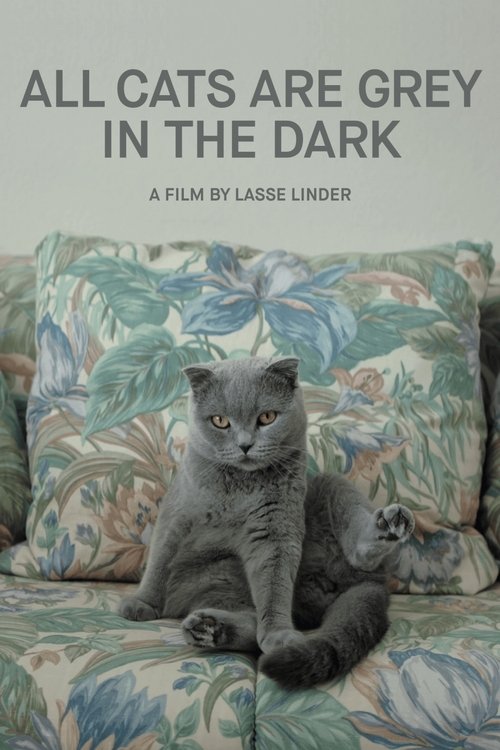 All Cats Are Grey in the Dark movie poster