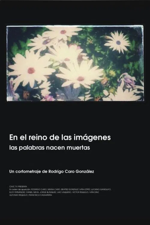 En el reino de las imágenes, las palabras nacen muertas movie poster