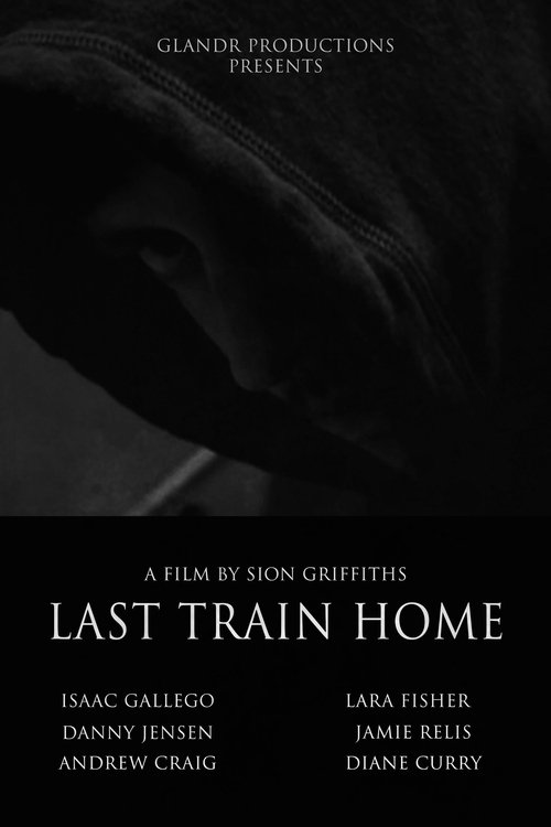 Last Train Home movie poster