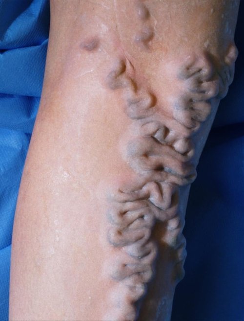 Blue Roses movie poster