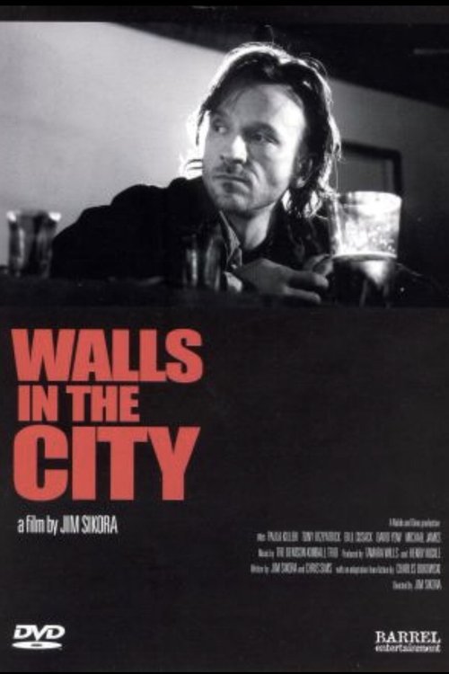 Walls in the City movie poster