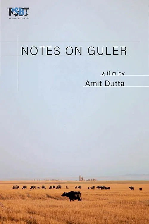 Notes on Guler movie poster