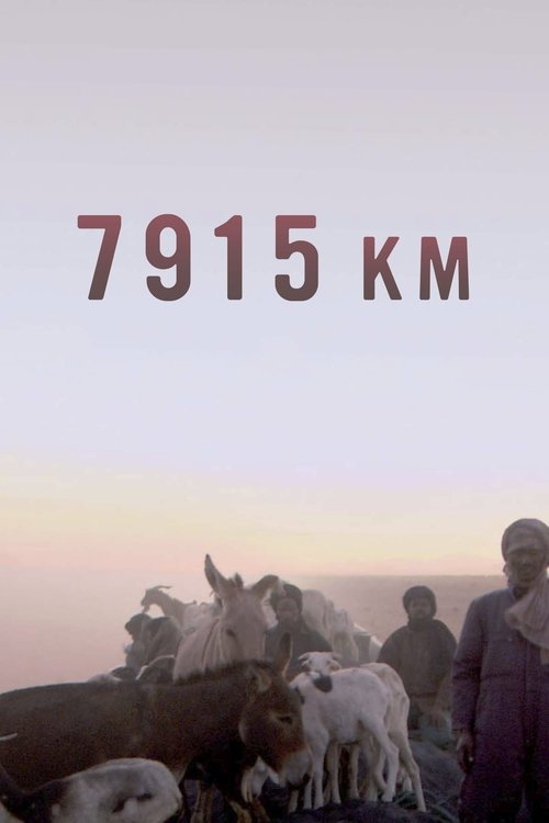 7915 Km movie poster
